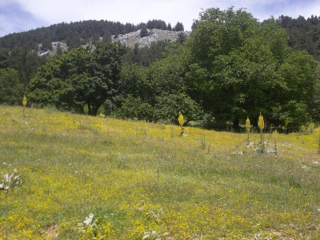 Le Antiche Torri Bed and Breakfast Pescasseroli Εξωτερικό φωτογραφία